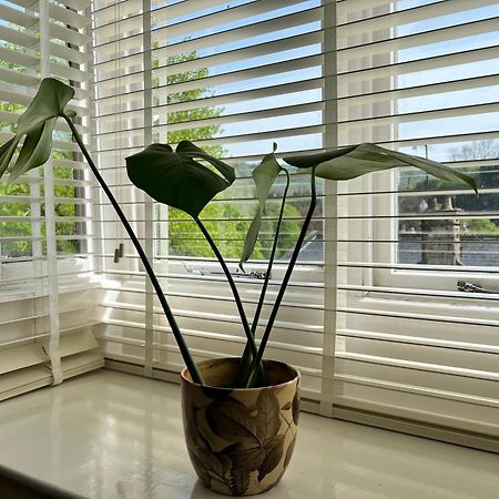 Top Floor Double En-Suite Br Apartment Central Matlock Matlock  Bagian luar foto